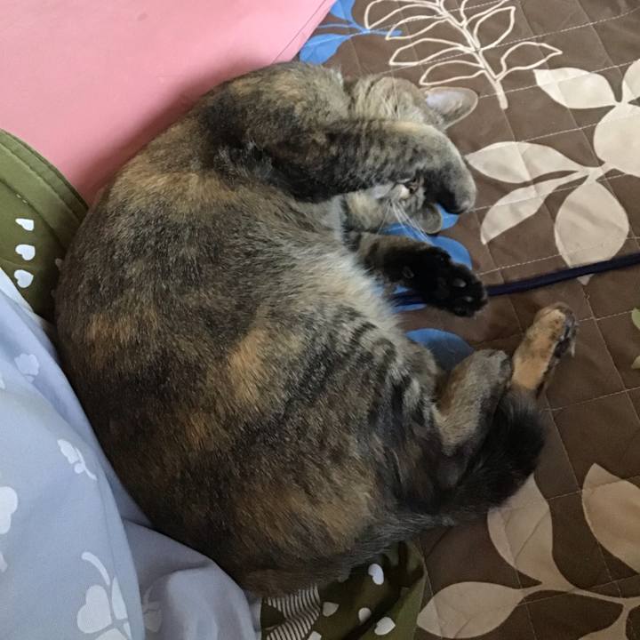 B987fb7d 0ef3 4062 8223 6c705c352f0e 1644646349898