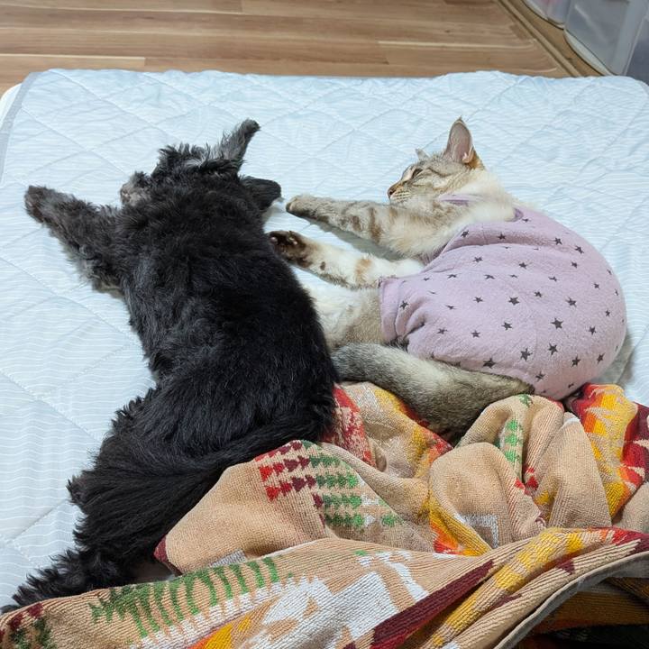 B988057f dffc 443f be00 05ade872e58f 1751192669437