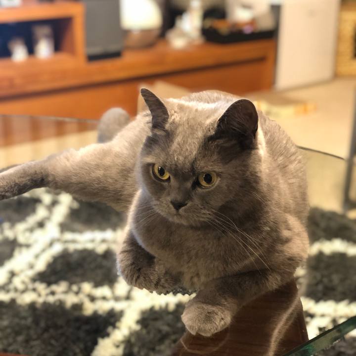 B9880eb9 753f 4c7d 8b9f 4b385643b667 1590316829892