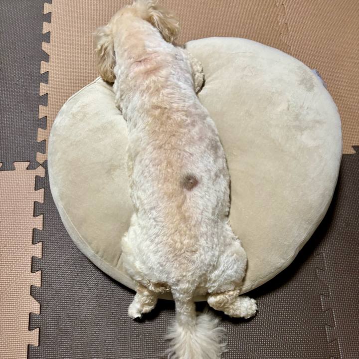 B9882565 c286 4d35 9945 2c8f256a5292 1760661343336