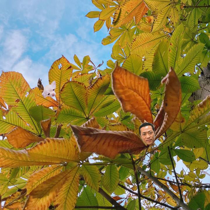 B98848cc df30 464f 874e a0947b192f34 1667178405013