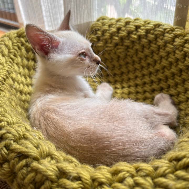 B988683a 46c2 40f7 90e2 7da0b5a1510d 1721621142349