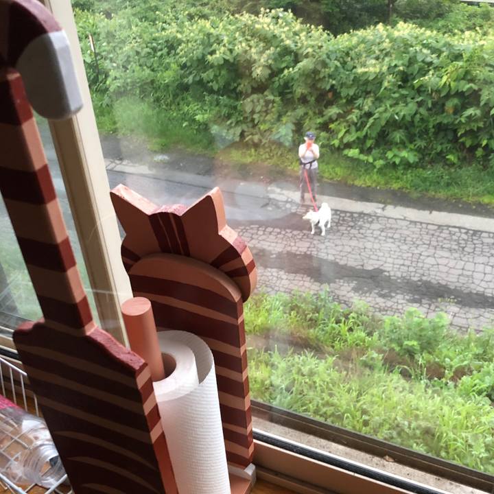 B98885d1 9459 4ba0 84ed b962007a7f8b 1660250976420