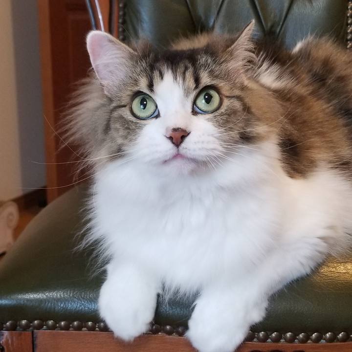 B988ae40 7f3f 46aa 9d17 409404634756 1593507323507