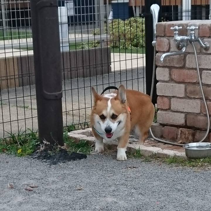 B988afcf 4ee6 4c96 b2ce e47b46b4ce4e 1679530206949