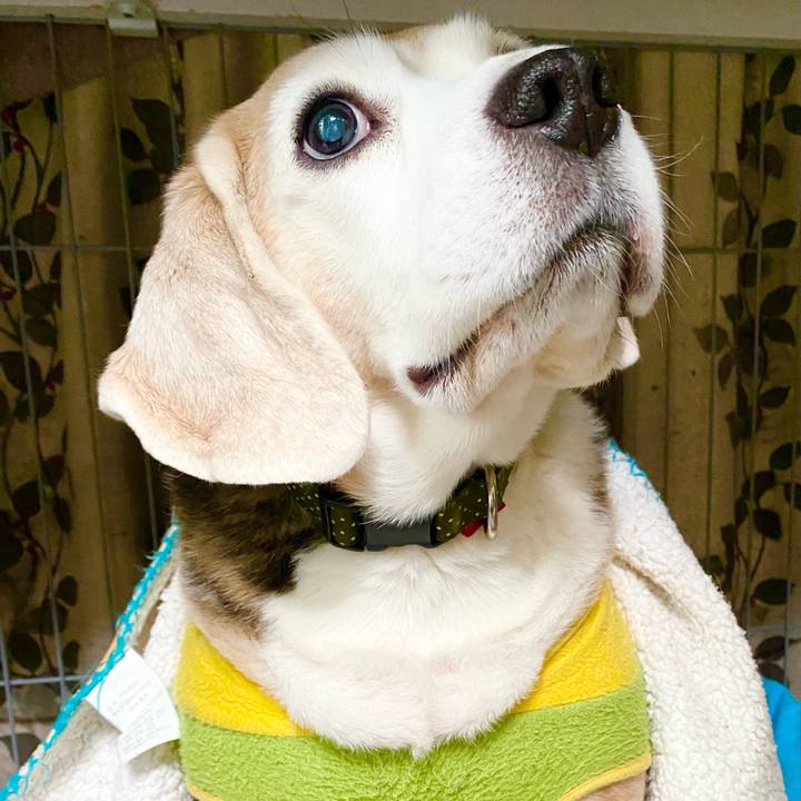 B988c3e6 552d 46d1 a108 01675d550970 1648524650808