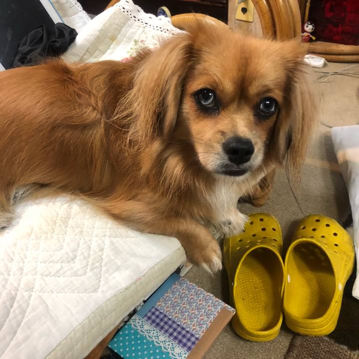 B988c6e0 8253 413e 8e84 d3c99afa8f5b 1537567786597