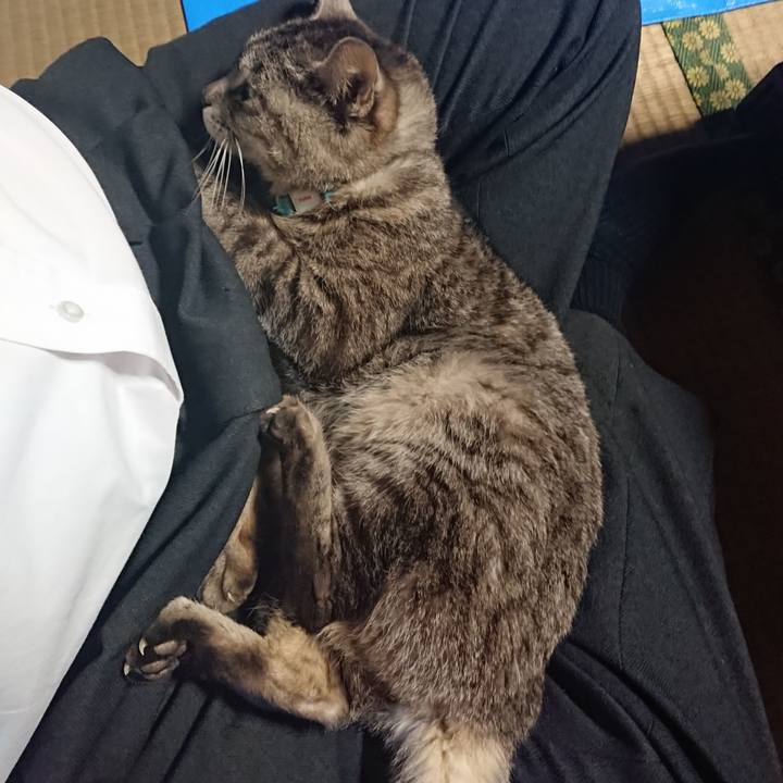 B988d034 b252 492f b6af 4690ea65aafb 1558345036150