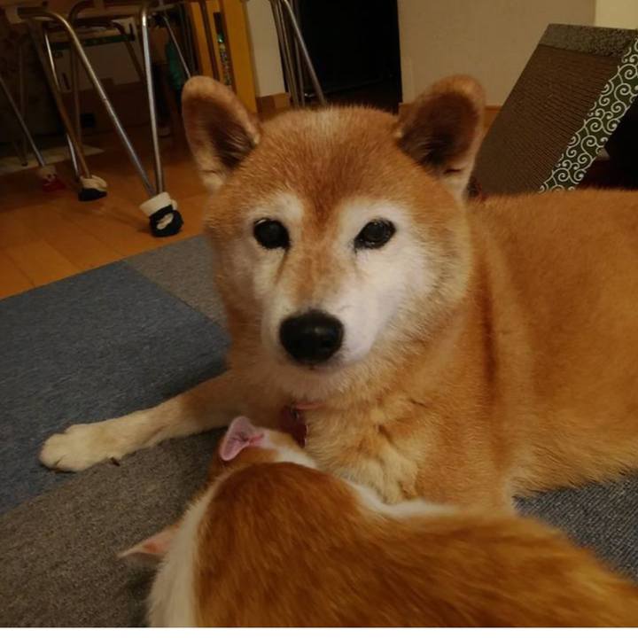 B988db35 c635 45c7 9db9 1fad9ffe3b22 1707874904785