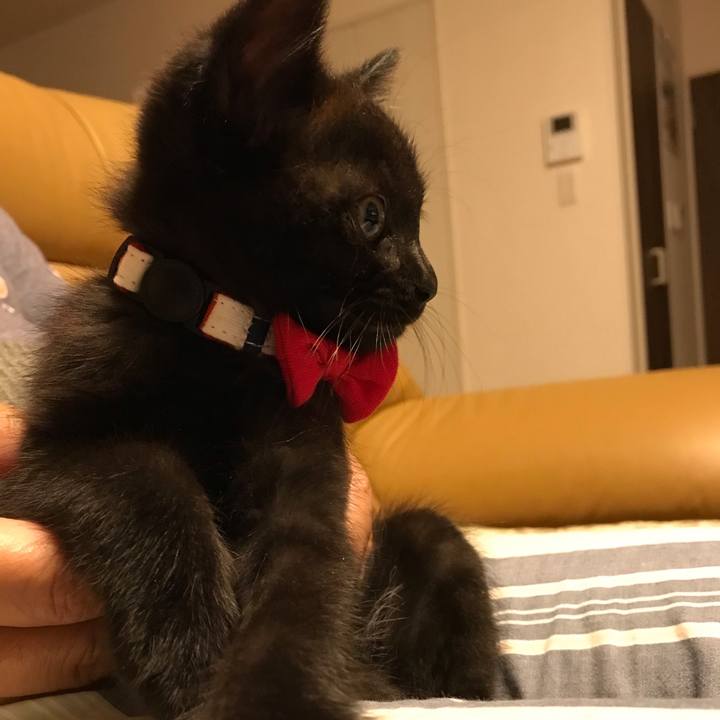 B9890a16 8b5c 4a7c a165 3192fed12900 1658718178061