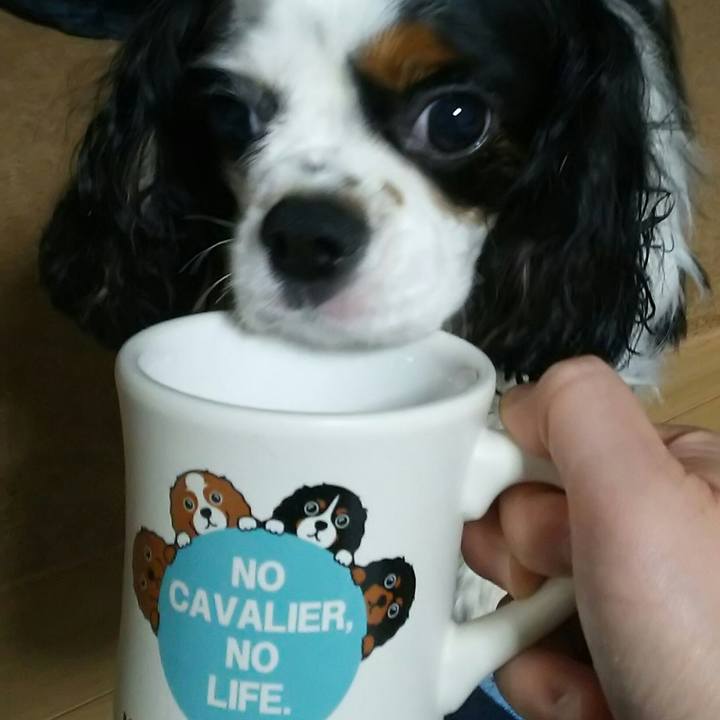 B9891bbe 992b 4cf4 b2c2 1cd6026dd51d 1534081152296