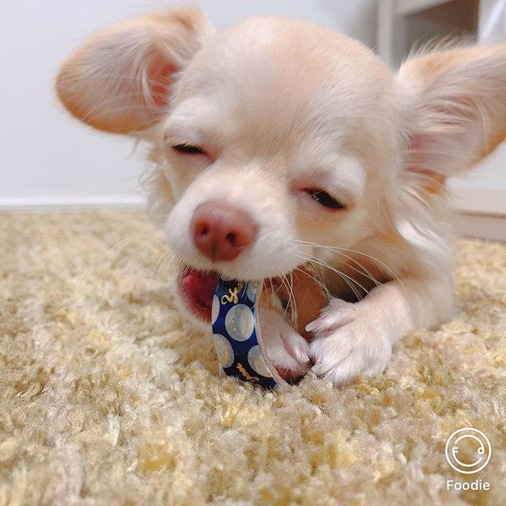 B9895683 f4fa 4898 ad8f ed7764b44d57 1602666424436