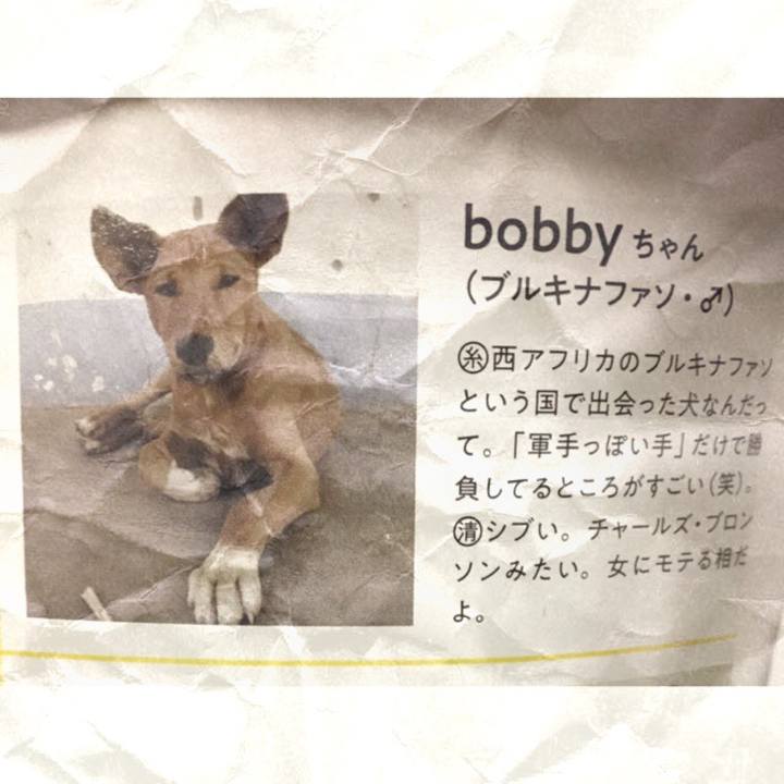 B989a626 5184 412f 935c d596de44e264 1546474605109