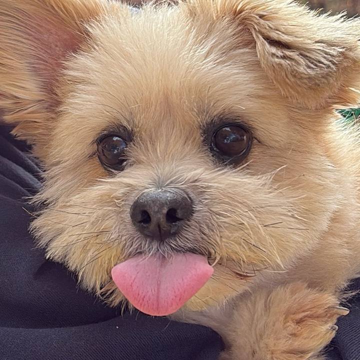 B989b97e fe8a 4103 a65e 5c6eaf578504 1762408880482