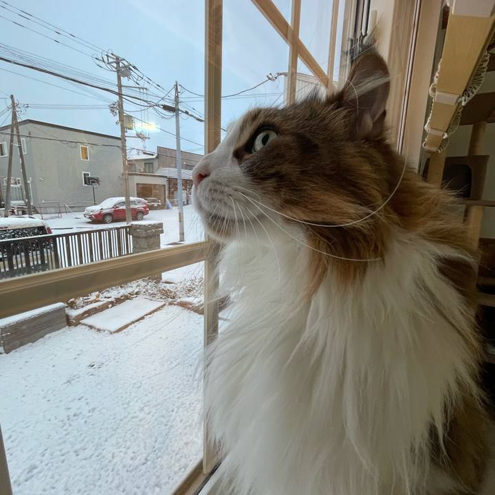 B989c1b6 fbe8 4a95 9d4c 6dffb27adb5a 1763415893921