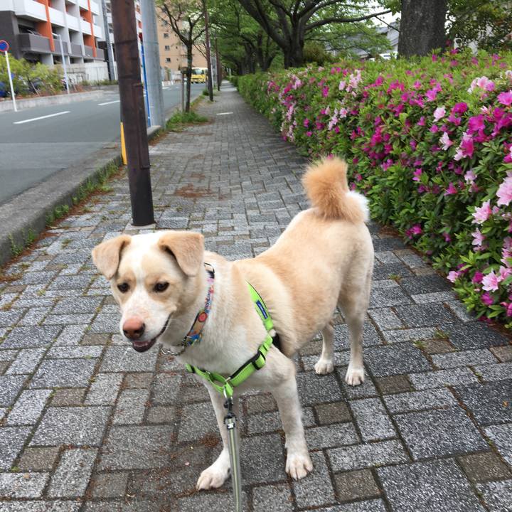 B989f86c 3acb 4e32 a8cc 3acf548dfe14 1523975197241