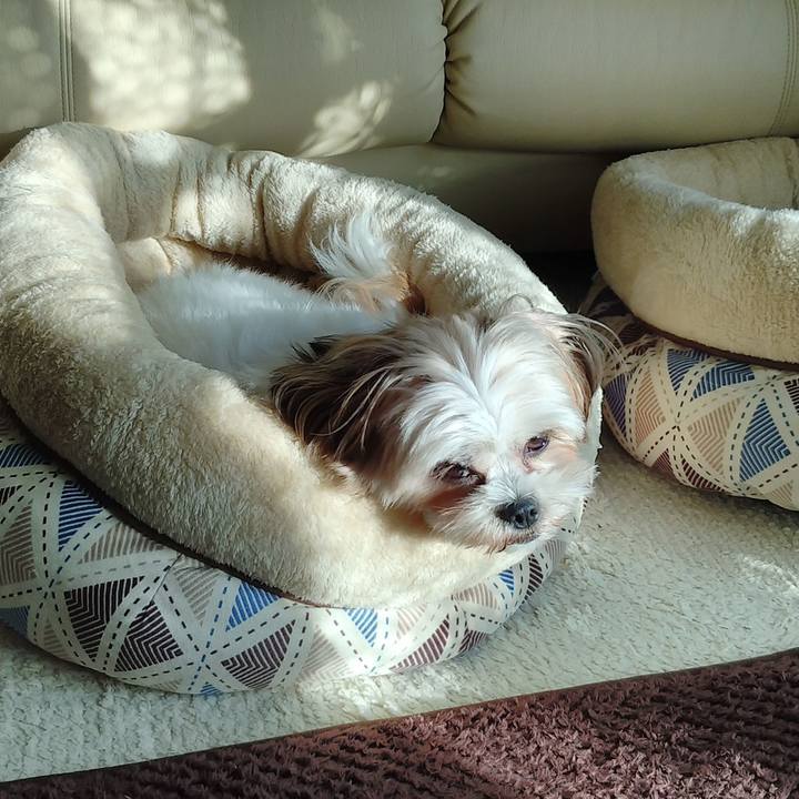 B98a32c9 9784 4318 84dc 314fed59bef9 1572565594347