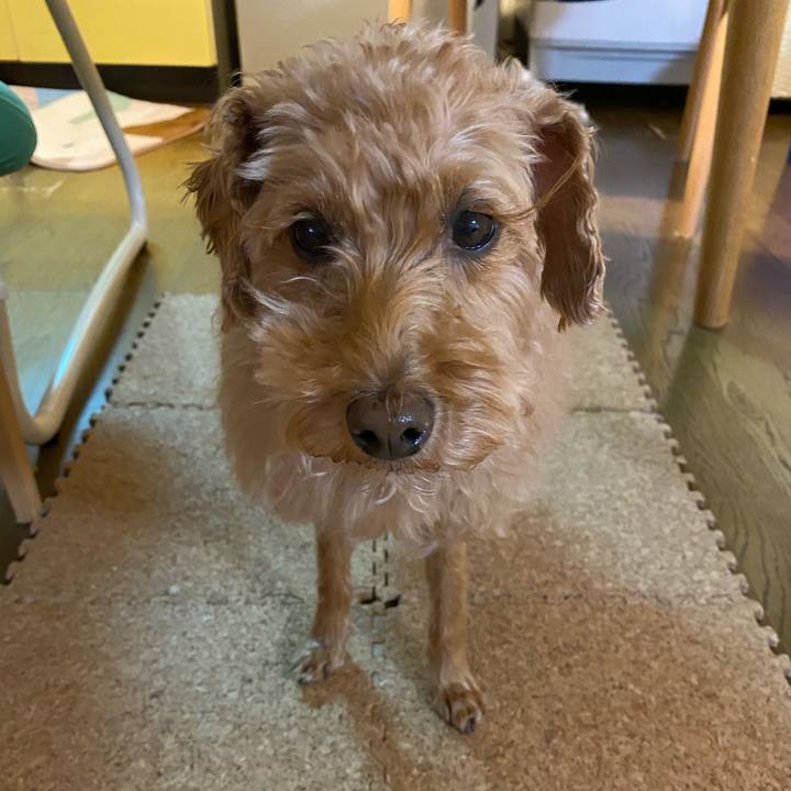 B98a3df6 8446 430e aa81 fc8f6d8da214 1650454314321