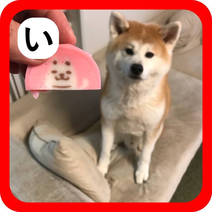 B98aaa96 fc87 419b ab6c ae32f319a7bd 1514976833505