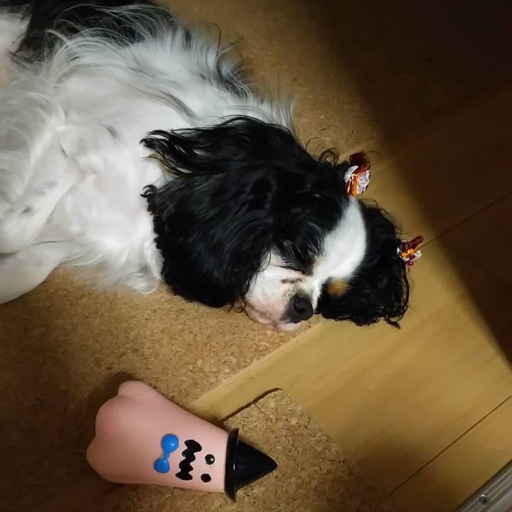 B98ab17a 3c5f 457e a75c d034f5ee6052 1572435772721