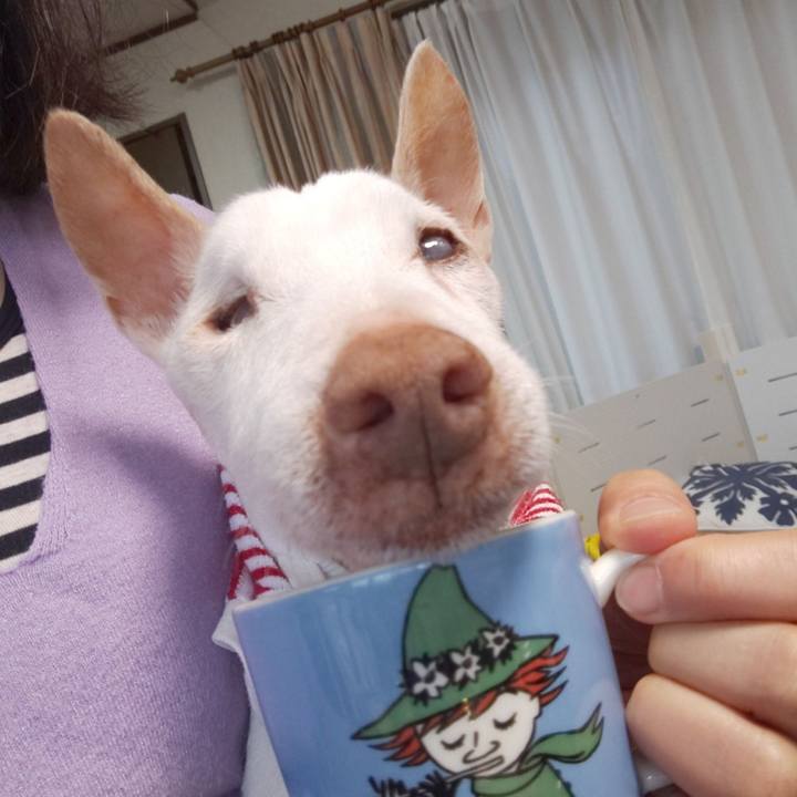 B98adabe 27fd 432f 8d4a ef5ea5b33a78 1611530786983