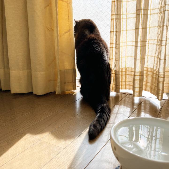 B98af067 14a3 4de8 ade2 0c3b4f2a8746 1642736800864