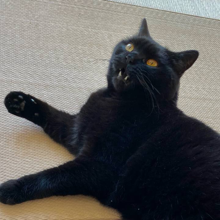 B98b2ad8 d61f 4819 aab6 48a6a47738e4 1619825818605