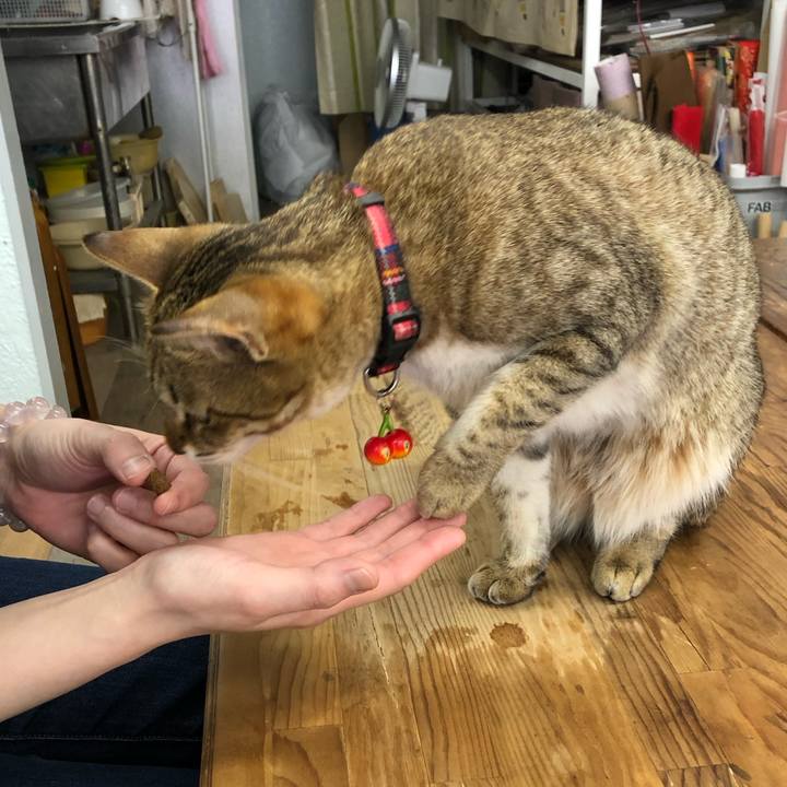 B98b6fd6 ce6d 4fe9 8658 eaa925057699 1616052116678