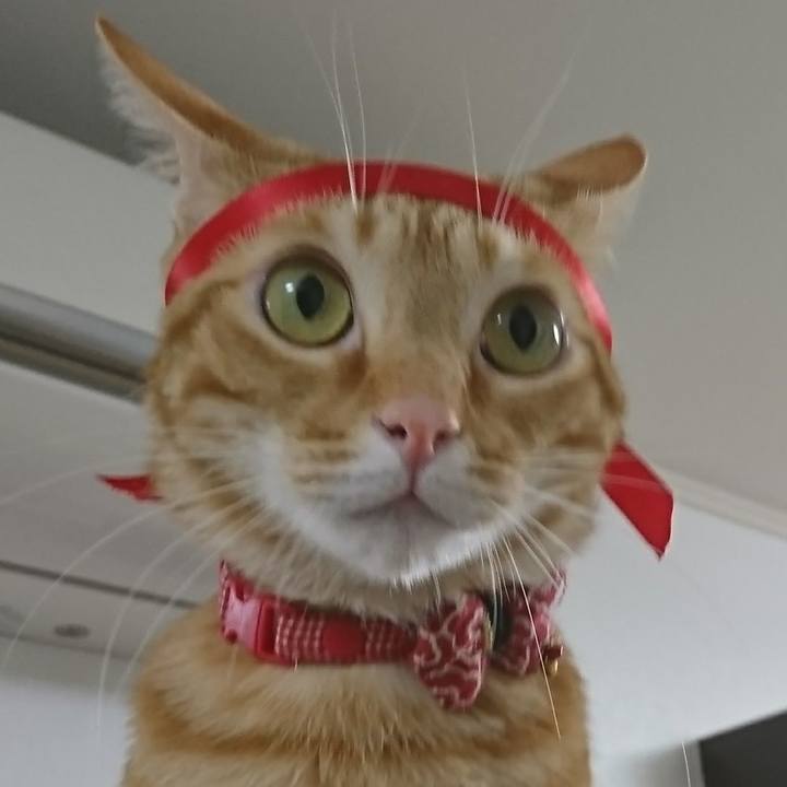 B98b7f4a 8ea4 4923 952f 058b0e1d1cd0 1520332114051