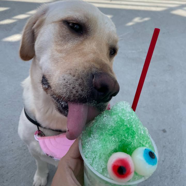 B98ba296 58b7 4976 ba16 2af2c3cf6112 1690541705132