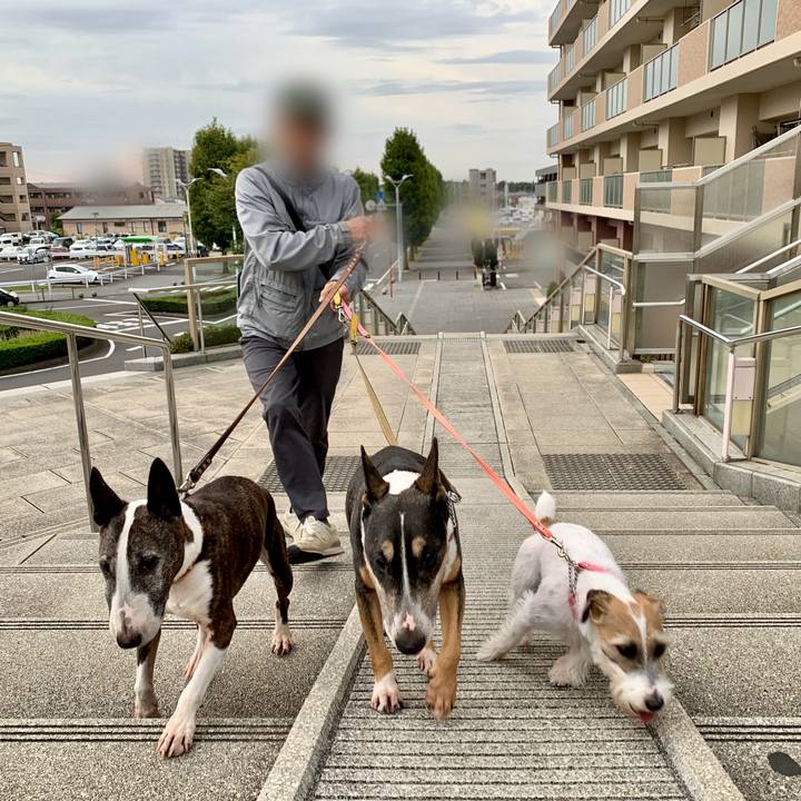 B98bb6f7 b1db 434a b701 87cbff915511 1604222721012