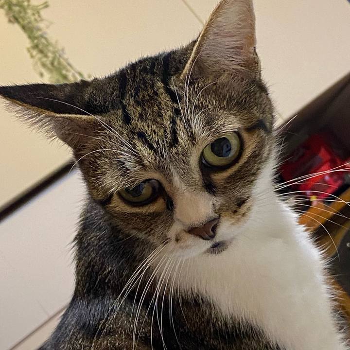 B98bff37 6260 4b6c b7a1 de7e0460c618 1633014559384