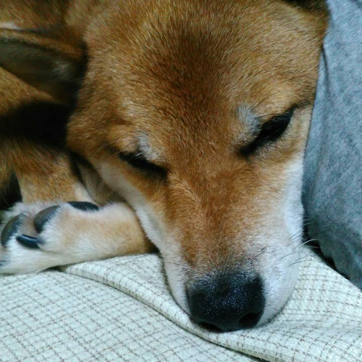 B98c0b27 115a 4ac9 aa1b 79553d2c4cb2 1507893048363