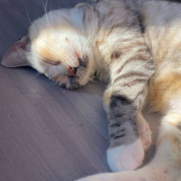 B98c0c28 4881 4cdb 8b29 13bc4db0f33e 1636775646252