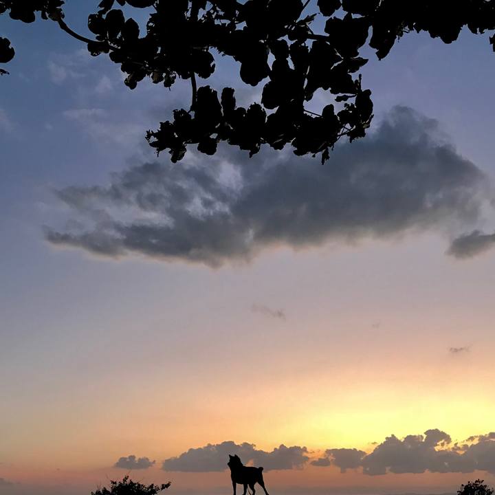 B98c1408 8dfb 4835 8801 a6d296605b2f 1508924638405