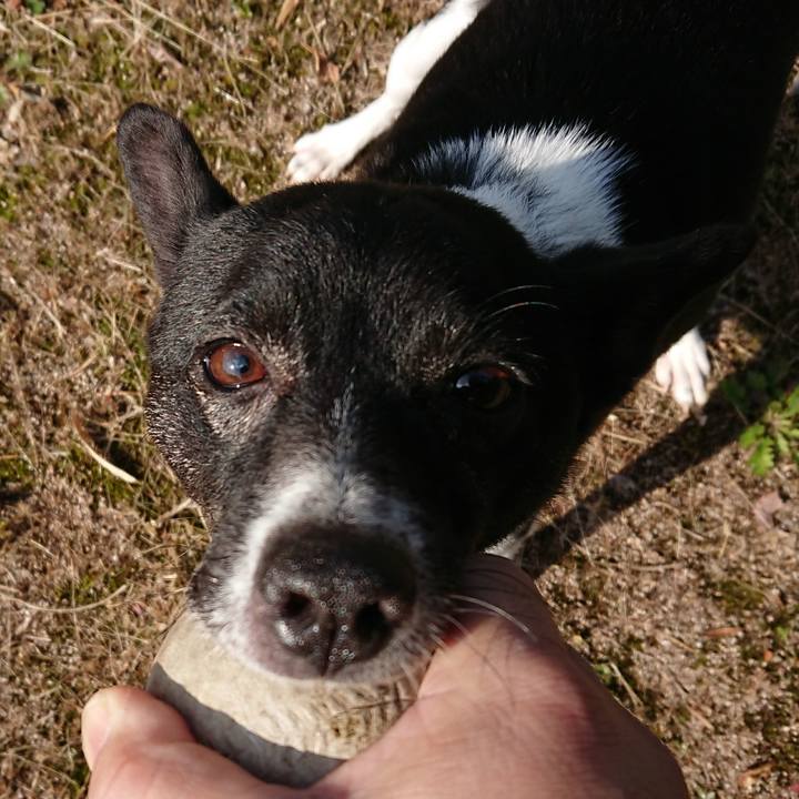 B98c2281 54ad 46ff ae73 e7f339c8bb6c 1511757300045