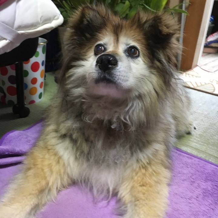 B98c2429 d57c 4d8e 9b83 555dc4e68740 1597655214785