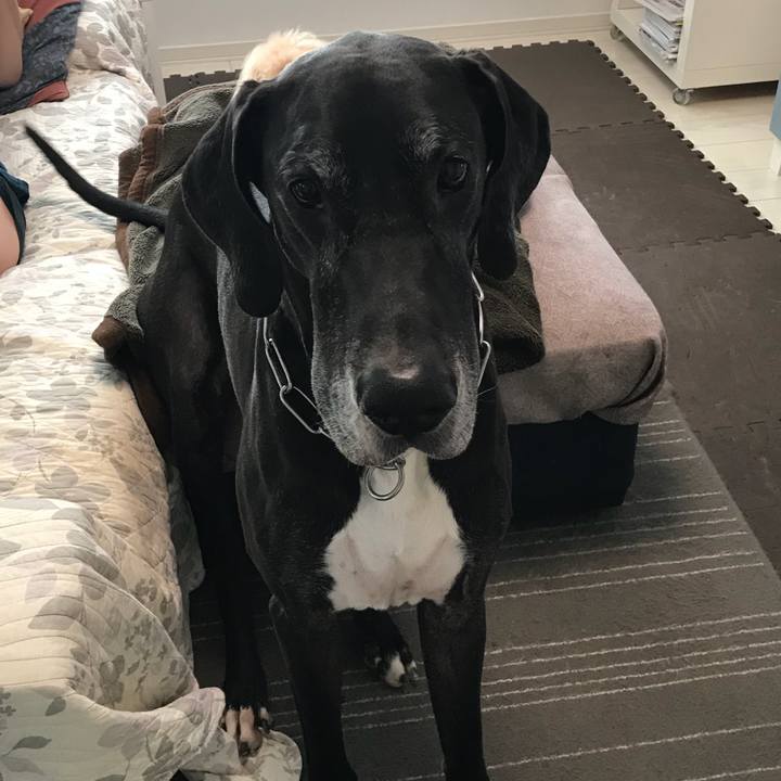 B98c51af abc6 4f81 8301 c3eec0c928df 1510268585357