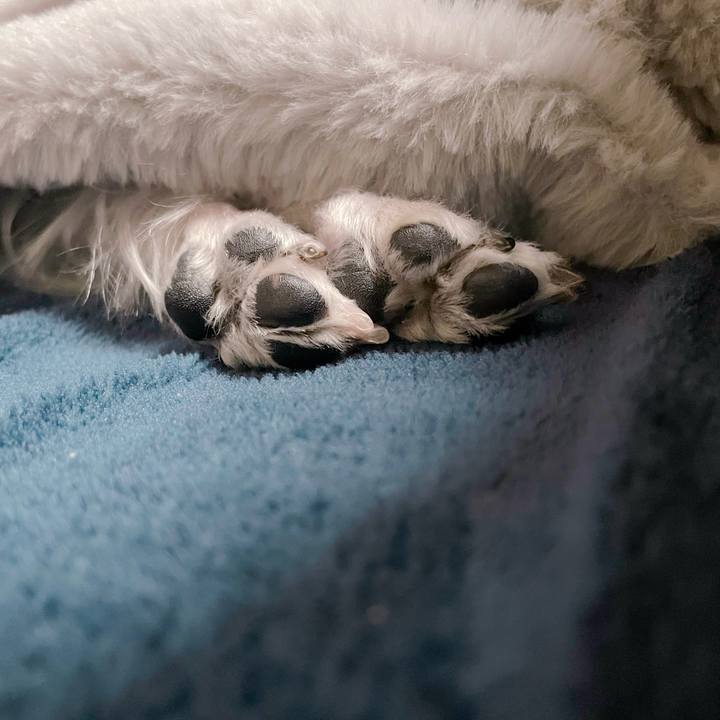 B98c59c0 5de5 48ba 97ab bb223be4706b 1768023391616