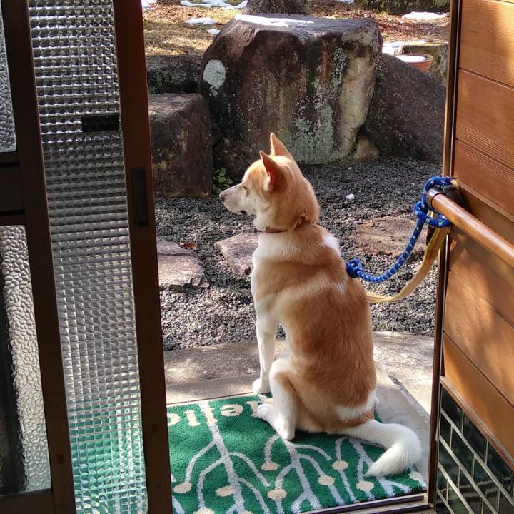 B98c6d1c f0ca 4ebb bcab 96a09e1904e0 1520593996587