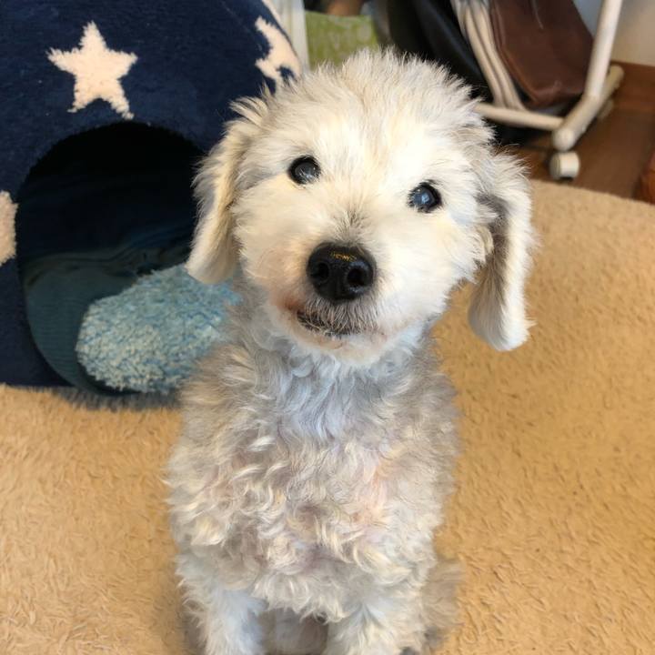 B98c75c2 0f4b 4881 bd3b ec46d986aaf6 1641255061459