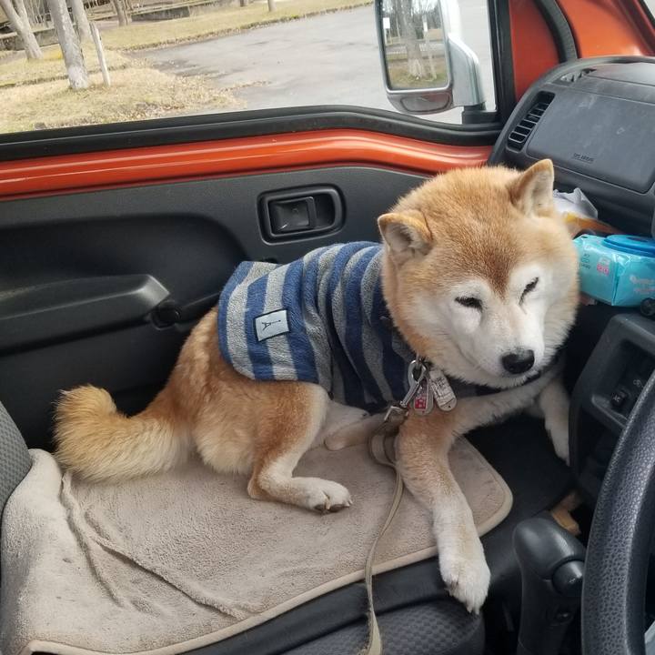 B98c7800 8d68 4d12 8a2c d52cc8292797 1702533384690