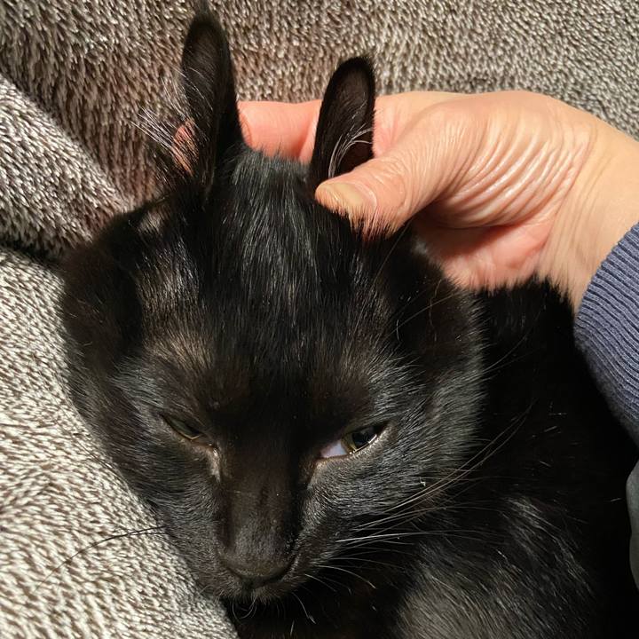 B98c83e4 b489 465b b413 d24d9972b01c 1637934565850