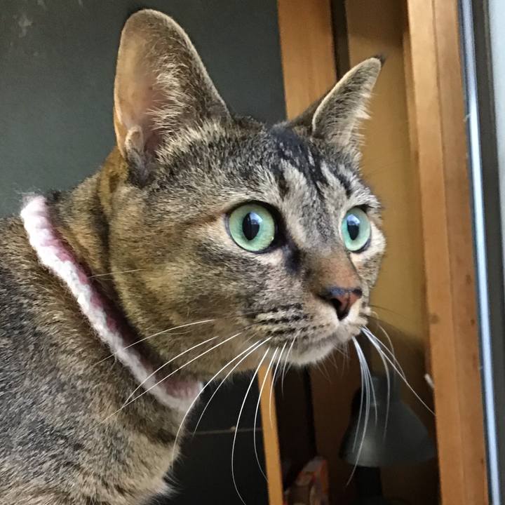 B98c9c15 bc34 4153 80bc 854ec2142de2 1669798996617