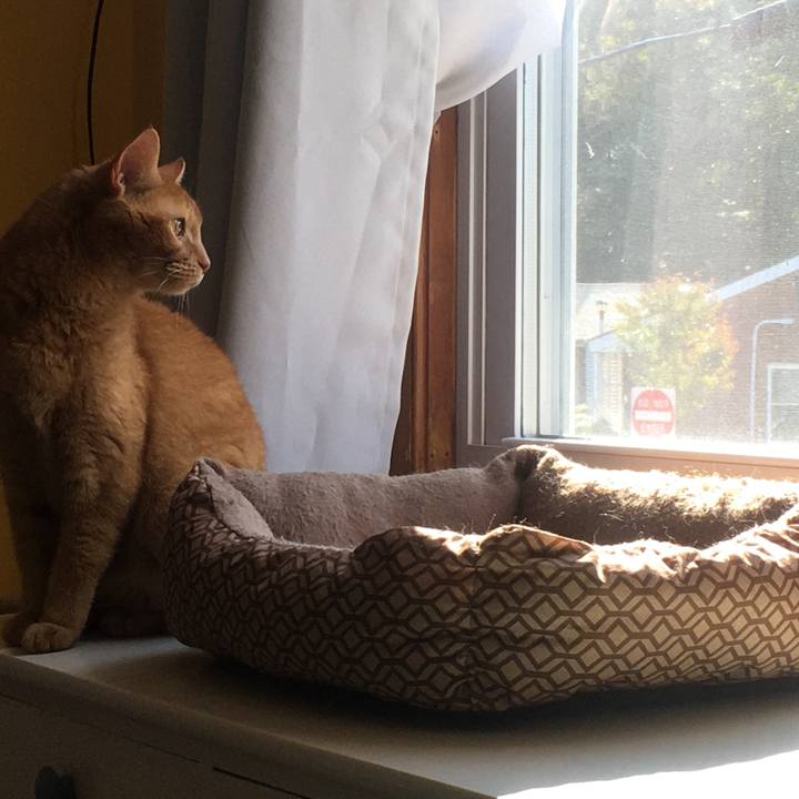 B98cc01b 826c 4e54 ab6d 56eb51afe5be 1632874566273