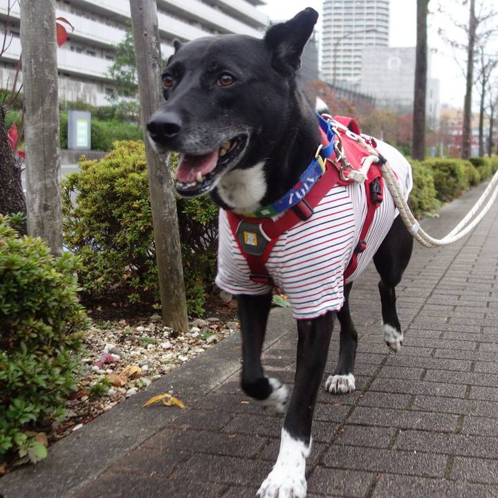 B98cc02f ec8c 41cd 8039 d17b648997ae 1669859373294