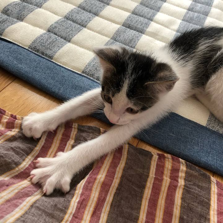 B98cfd1e 60e2 44c5 bb7f 03fdbbee8f09 1562230241538