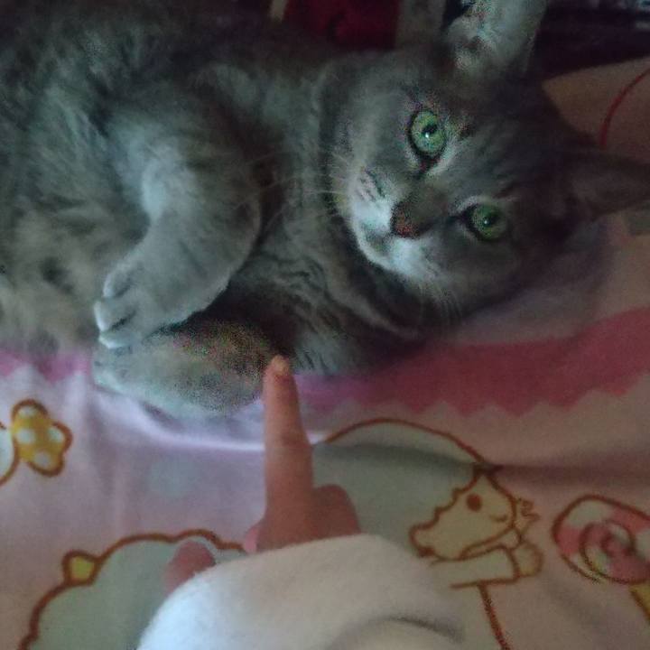 B98d0d8d 015a 400e b09f dbe63a74d017 1636701205993