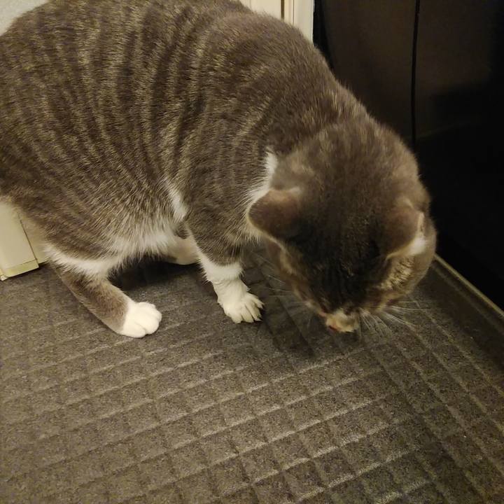 B98d2426 dc5f 490f b3f7 ca1f4e08c69f 1580913115117