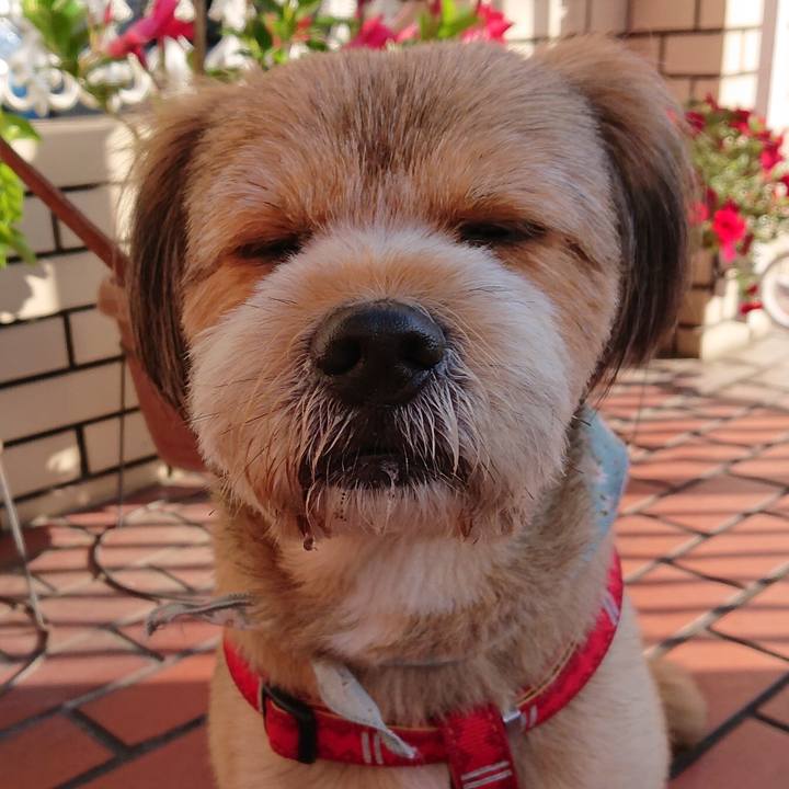 B98d2513 9b8e 4c7b 8cdd 6755c6b74c75 1561331602918